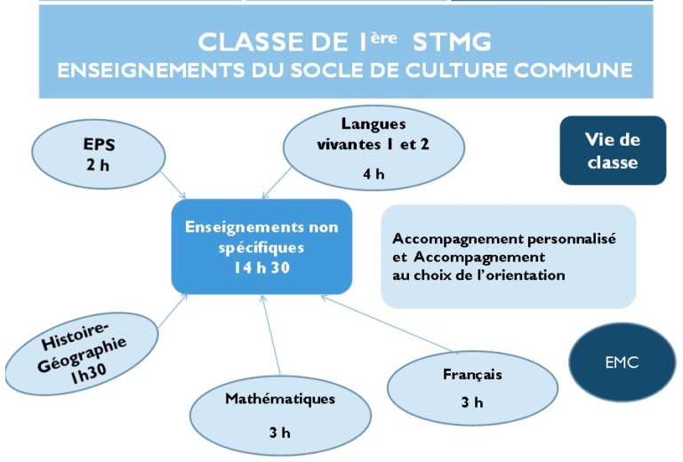 Série STMG – Lycée